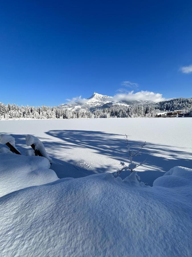 Waldnest Appartamento Kitzbühel
